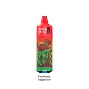 BANGBOX 12000 Puffs Disposable Vape | Type-C Rechargeable | 20ml E-Liquid, 1.0Ω Mesh Coil, 18250-650mAh Pure Cobalt Battery | LED Running Light, Single Coil Firing | 84g, Compact 137x40x40mm