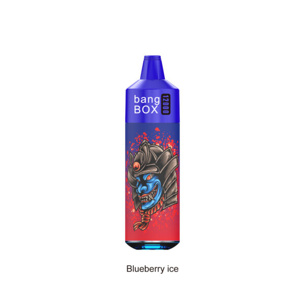 BANGBOX 12000 Puffs Disposable Vape | Type-C Rechargeable | 20ml E-Liquid, 1.0Ω Mesh Coil, 18250-650mAh Pure Cobalt Battery | LED Running Light, Single Coil Firing | 84g, Compact 137x40x40mm - Image 2